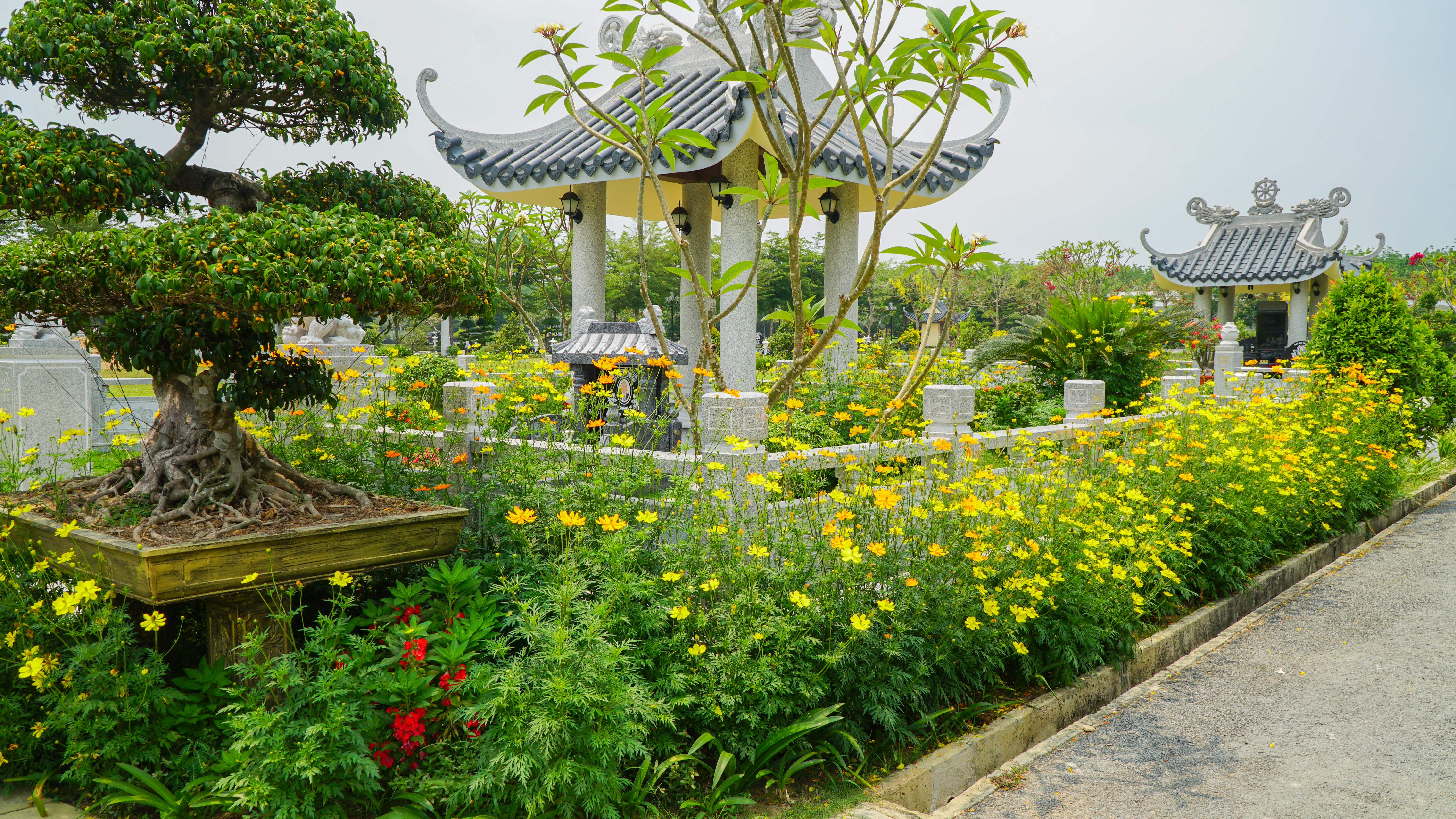 Mộ Gia Đình