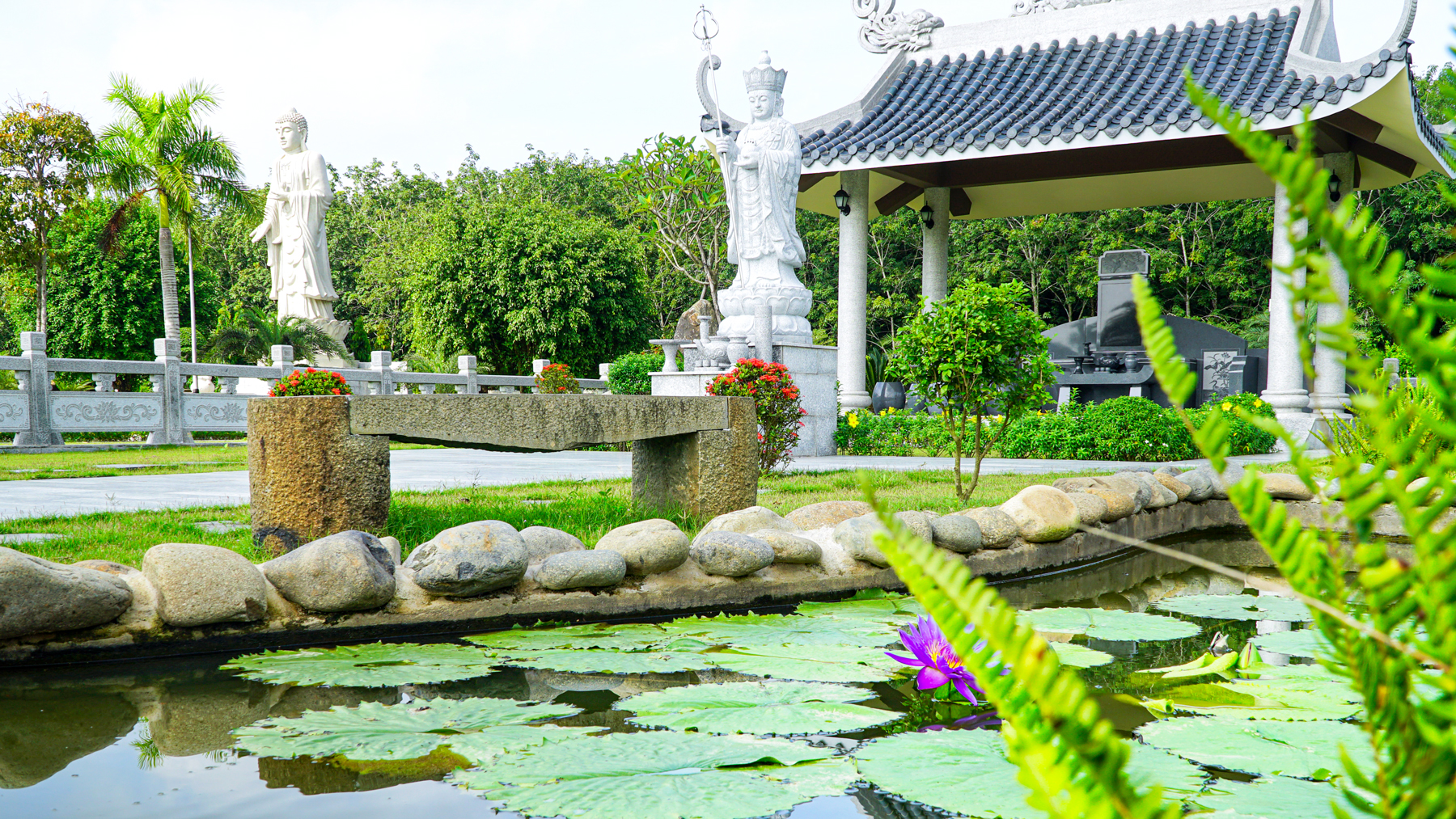 Mộ Gia Tộc
