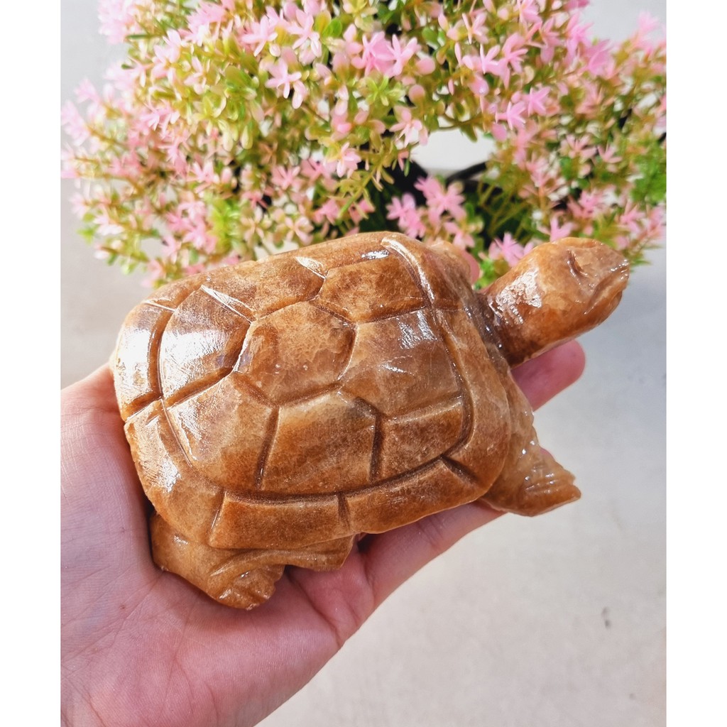 (Chọn màu) Cụ Rùa đá size 12cm