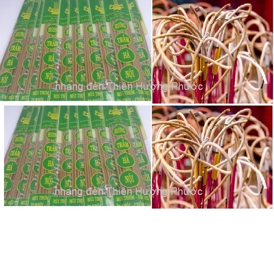 Nhang cuốn tàn Hà Nội nhãn xanh