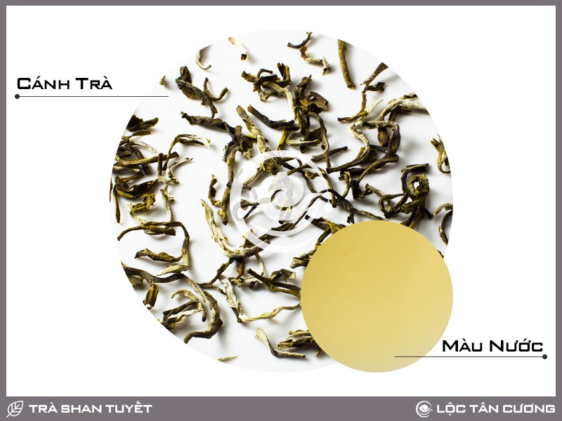Trà Shan Tuyết Tà Xùa 100 gram