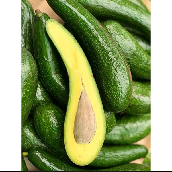 Bơ