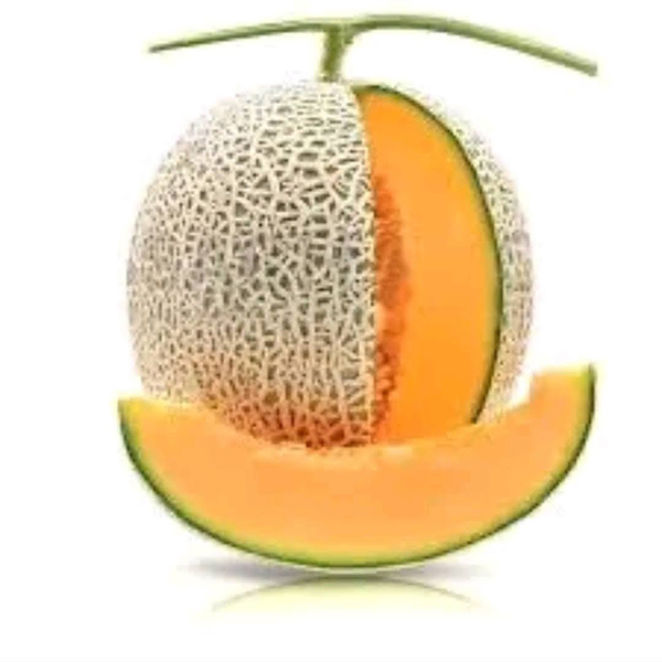 Dưa lưới cty