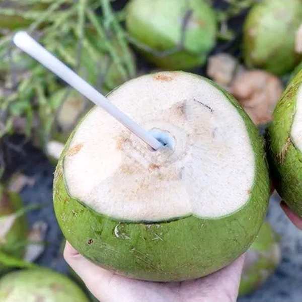 Dừa xiêm xanh