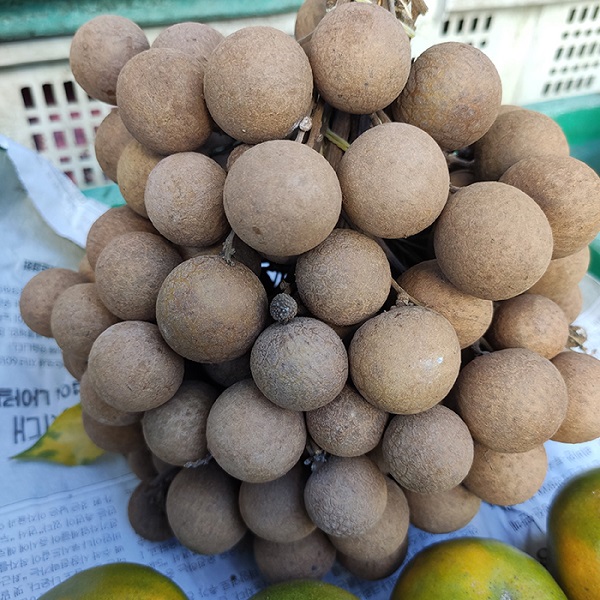 Nhãn Thái 1 kg