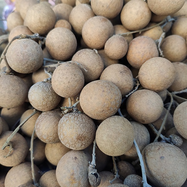 Nhãn Thái 1 kg