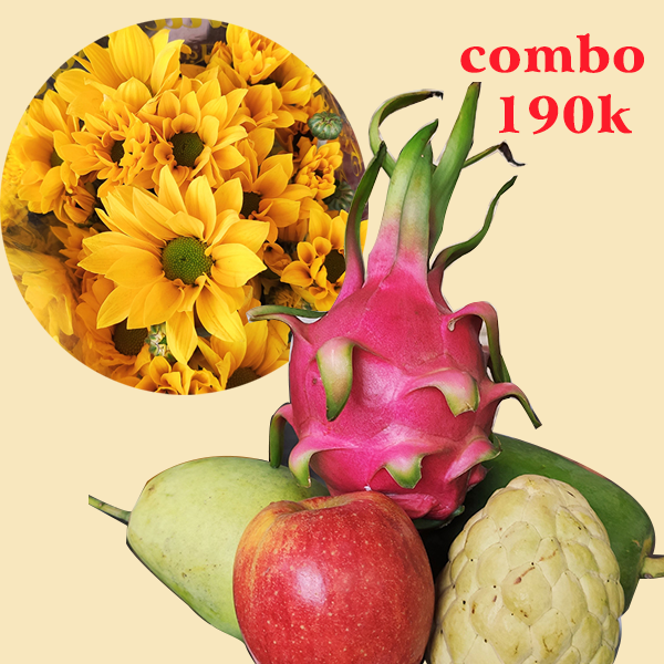 Combo trái cây và hoa mai cam