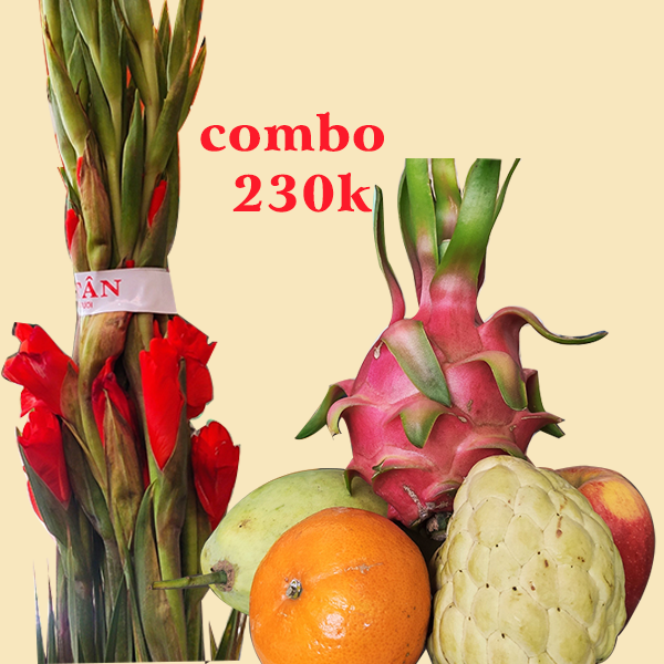 Combo trái cây và hoa lay ơn đỏ