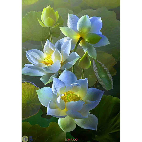 Tranh Treo Tường 3D Hoa Sen Ý HSD5,30x45